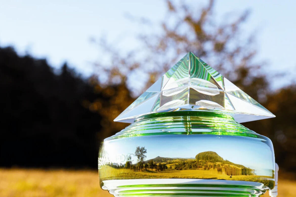 一年的健康之旅：Somavedic 如何逐月地改变你的生活