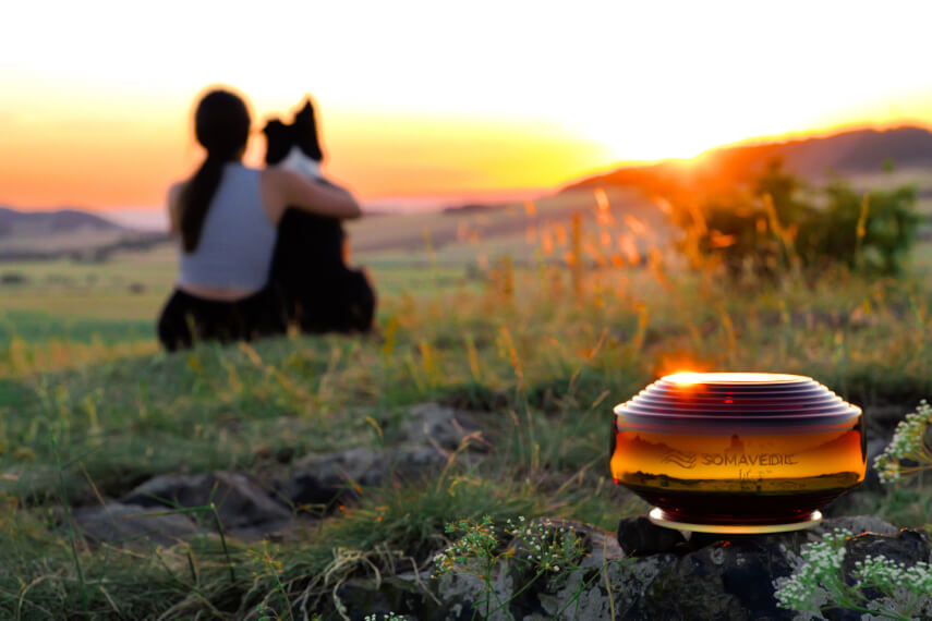 健康与环境影响